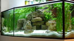 aquarium-von-mats-mbuna-garten_Ansicht von rechts