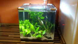 aquarium-von-cia-unser-25-liter---nano_
