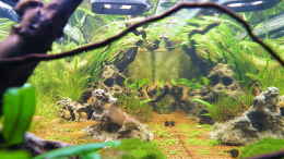 aquarium-von-bergfrau-asien-bachbett---nur-noch-beispiel_Blick von der linken Seite aus durchs lange Becken