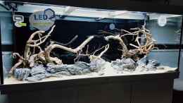 aquarium-von-koellebaerbling-gruene-bucht-aquarium-aufgeloest_Ende Tag 1 Scape Aufbau. Wurzeln nur mal rein gestellt. Sch