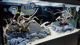 aquarium-von-koellebaerbling-gruene-bucht-aquarium-aufgeloest_Cal Aqua Labs Black Earth Premium Soil eingebracht...