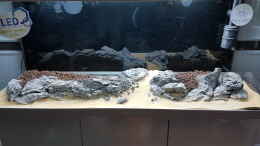 aquarium-von-koellebaerbling-gruene-bucht-aquarium-aufgeloest_Hardscape Aufbau...mit den schönen aber in der Masse nicht 