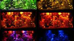 aquarium-von-zyx82-juwel-vision-180_Sonnenuntergang