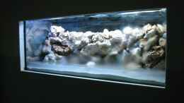 aquarium-von-timo-tschoepel-becken-1609_erstes Befüllen
