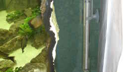 aquarium-von-thomas-kalisch-becken-1621_Blick hinter die rechte Seite der Rückwand mit Jäger-Heize