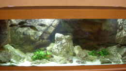 aquarium-von-thomas-kalisch-becken-1621_Ausschnitt aus dem Tanganjikasee