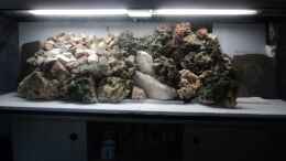aquarium-von-malawiwelt-becken-16231_Umgestaltung 06.05.2012 ( so fing alles an)