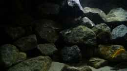 aquarium-von-poybuna-stones-of-malawi---nicht-mehr-vorhanden_Linke Seite 1