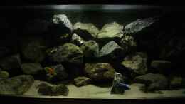 aquarium-von-poybuna-stones-of-malawi---nicht-mehr-vorhanden_Beckenmitte 2