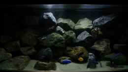 aquarium-von-poybuna-stones-of-malawi---nicht-mehr-vorhanden_Beckenmitte