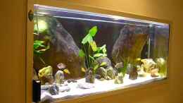 aquarium-von-chris-r--malawi-tv-nur-noch-als-beispiel_der Wandeinbau