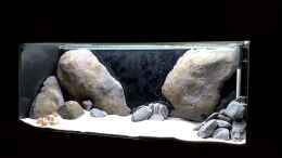 aquarium-von-chris-r--malawi-tv-nur-noch-als-beispiel_das Becken im Rohzustand.. Wasser marsch!!