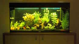 aquarium-von-baniw-aqualounge_1. Stufe der Nachtschaltung