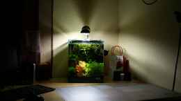 aquarium-von-garnelenmami-nelenisland_das Cube auf meinem Schreibtisch : )