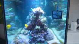 aquarium-von-juwa-800l_Update März 2012