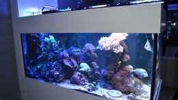 aquarium-von-juwa-800l_Update 11.2013