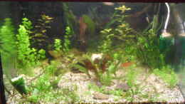 aquarium-von-kleines-becken-goerlitzer-wasser_14.1.2012