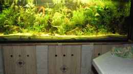 aquarium-von-sado-uwe-becken-16636_648 Liter Küchen-Aquarium