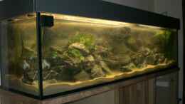 aquarium-von-thomas-dietrich-becken-16651_...die erste komplette Flutung....