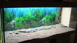 Aquarium einrichten mit Bodengrund und Schiefer sind drin
