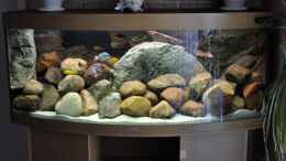 aquarium-von-vladi-becken-16908_Bischen mehr Steine