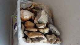 aquarium-von-philipp-mueller-becken-16993_Gesammelte Steine für das Malawireich