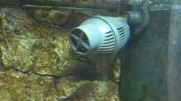 aquarium-von-peterfish-peters-bunte-kiste_Strömungspumpe Reef Stream 5000 Liter/Std