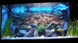 aquarium-von-peterfish-peters-bunte-kiste_