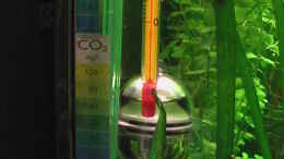 aquarium-von-olli-n--werneris-wilde-welt_CO-2 Dauertest und Thermometer