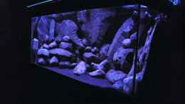 aquarium-von-laey-black-rock_früh morgens