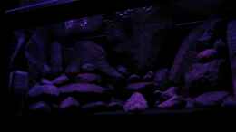 aquarium-von-laey-black-rock_