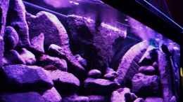 aquarium-von-laey-black-rock_sieht auf dem foto heller aus als es ist/nachbildfunktion