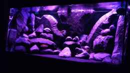 aquarium-von-laey-black-rock_