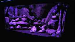 aquarium-von-laey-black-rock_übergang ins nachtlicht