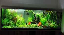 aquarium-von-microsash-840-liter-jungle_weis