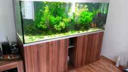 aquarium-von-microsash-840-liter-jungle_Gesamtansicht 22.03.2015
