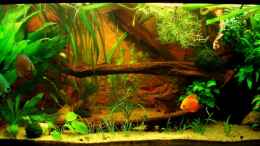 aquarium-von-marco-mydreamtank_Gesamtansicht 24.04.11 bei voller Beleuchtung