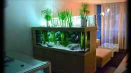 aquarium-von-der-schweizer-malawi-cane-brake-nur-noch-als-beispiel_Wohnraumgestaltung mit teilweise offenem Raumteiler-Becken (