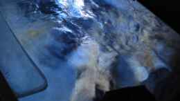 aquarium-von-sebastian-o--mbuna-becken-nur-noch-als-beispiel_Oberflächenströmung durch die Voyager 4