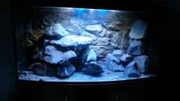 aquarium-von-sebastian-o--mbuna-becken-nur-noch-als-beispiel_neue Rückwand und neue Steine sind fertig