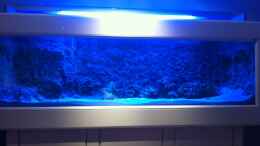 aquarium-von-thomas-schuster-becken-17453_Becken nur mit t5 beleuchtet 