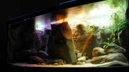 aquarium-von-franek-yellowhome_mit den Folien