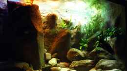 aquarium-von-franek-yellowhome_mit den Folien