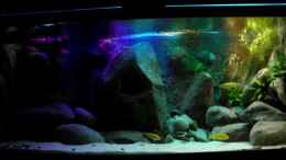 aquarium-von-franek-yellowhome_so sieht das Licht jetzt aus
