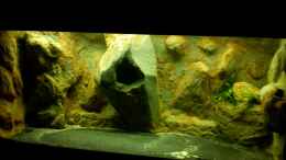aquarium-von-franek-yellowhome_So habe ich das Aquarium überreicht bekommen