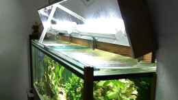 aquarium-von-ingo-www-tanganjikasee-aquarium-de_Die Beleuchtund des vorderen Teils besteht aus zwei 18 Watt 