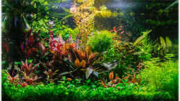 aquarium-von-ralf64-dreamworld-nt_Der Frühling zieht ins Land ...
