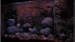 aquarium-von-ellis-tanganjika-shells-rock-aufgeloest_von rechts (1)