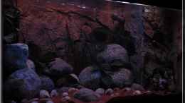 aquarium-von-ellis-tanganjika-shells-rock-aufgeloest_von links (1)