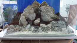 aquarium-von-arami-gurami-a-rolling-stone-gathers-no-moss_hier von schräg oben